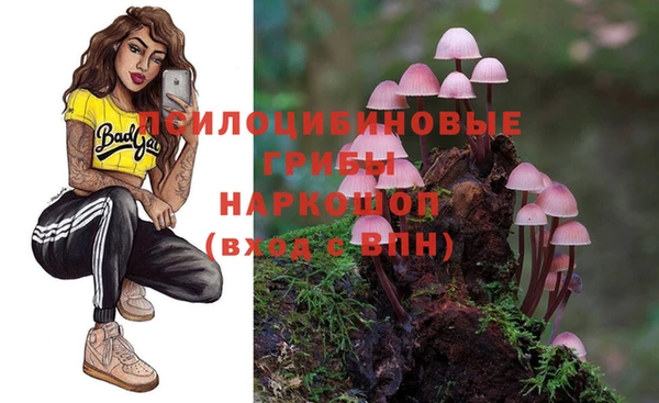 mdma Каменногорск