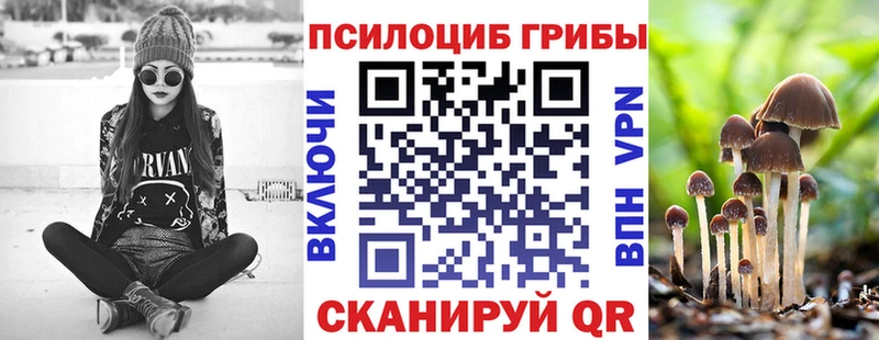 Галлюциногенные грибы мицелий  Купить  Ельня 